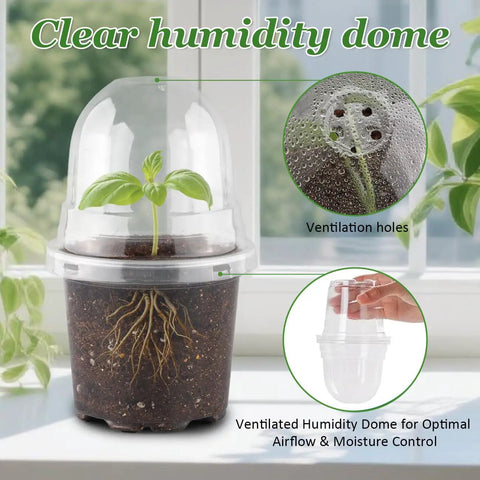 Clear Nursery Pots With Humidity Domes For Seedlings, showing root growth and dome ventilation, 4 inch plastic plant pot.