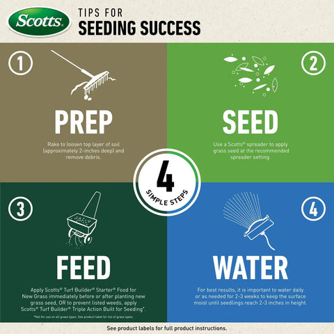 Infographic showing 4 steps for lawn seeding: Prep with rake, Seed with spreader, Feed with fertilizer, Water regularly.
