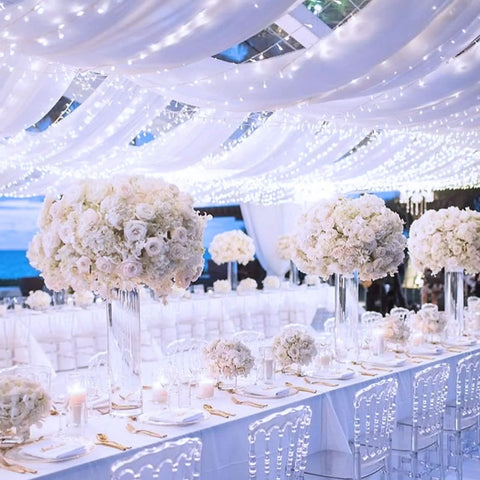 Ultra Long 168Ft 600 LED Cool White String Lights With Remote Plug In Twinkle Outdoor Indoor decorates wedding venue.