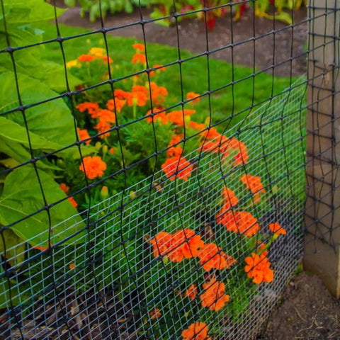 Quarter Inch Mesh Welded Wire Fence For Garden Protection And Small Animal Barriers, 24 Inch By 50 Foot in use around a garden bed