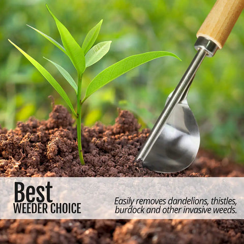 Manual Hand Weeder With Bend-Proof Leverage Base next to a weed in soil for easy removal
