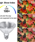 Heavy Duty Par30 Short Neck Flood Bulb Cranks Out A Bold 1000 Lumens Of Smooth 3000k Warm White Glow For Living Rooms And Driveways With Standard E26 Sockets next to autumn leaves with high color rendering index.