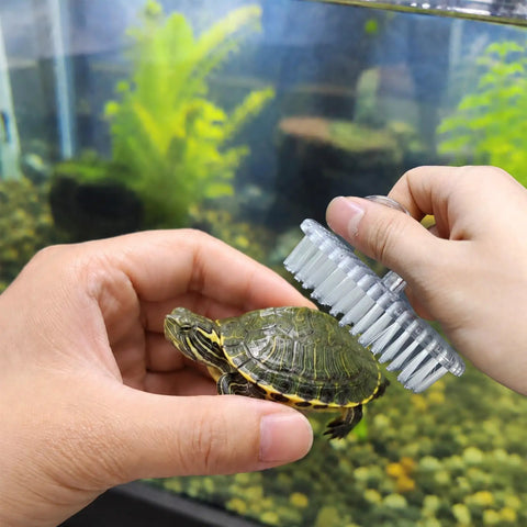 Upgraded Turtle Scrub Brush With Suction Cup For Glass Mounting Screws Tighten For A Firm Grip Slips Not Ideal Turtle Bath Accessory To Clean Back And Abdomen And Remove Dirt With Easy Clean Up, clear plastic brush on turtle shell