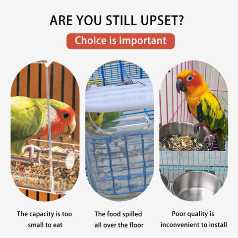 Hassle Free Automatic Bird Feeder With No Mess Clear Acrylic Bowl And Smooth Cage Mount For Parrots Canaries Cockatoos No Sweat Setup Foraging Snack Station 2 Pack with birds near messy feeders.