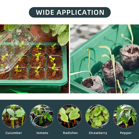 Seed Starter Tray Kit With Grow Lights And Humidity Dome 72 Cell Indoor Garden Germination Trays Smart Controller