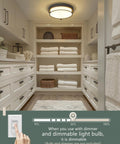 Closet with 12 Inch Flush Mount Ceiling Light, 2 Light Close-To-Ceiling Fixture in Oil Rubbed Bronze Finish and frosted glass.