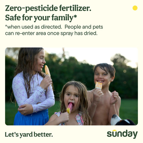 Children enjoying popsicles in a backyard, promoting safe, zero-pesticide fertilizer use for families and pets.