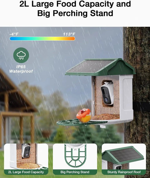 Solar Powered Bird Feeder With Camera, 2K Live Feed, Smart AI Bird Recognition, 2L Seed Capacity shown installed on tree