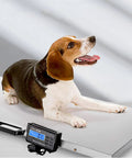 Real Deal Heavy Duty Digital Scale Built Like A Tank For Pets And Livestock With Roomy Stainless Platform And Slip Resistant Rubber Mat Heavy Hitter For Barn And Shipping Jobs with a beagle on the scale.