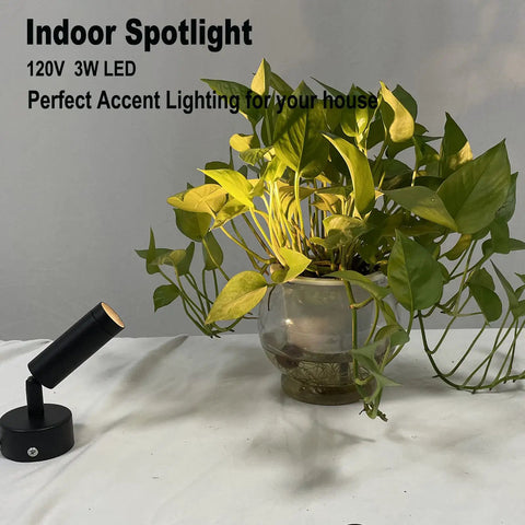 Indoor spotlight illuminating a green potted plant, showcasing its 3W warm white light for decor enhancement, 2 Pack Mini LED Indoor Spot Lights With 3W Warm White 3000K Uplights Plug In Floor Accent Lighting For Plants Artwork Photos Desks 10 Ft Cord Built In Foot Switch Make Your Space Pop.