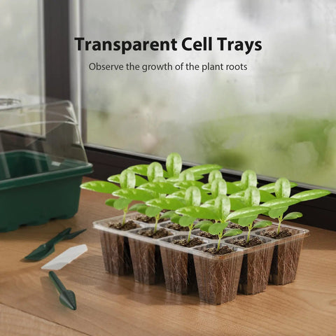 Seed Starter Tray Kit 10 Pack With Heightened Lids For Seed Starting, transparent 12 cell germination trays with seedlings indoors