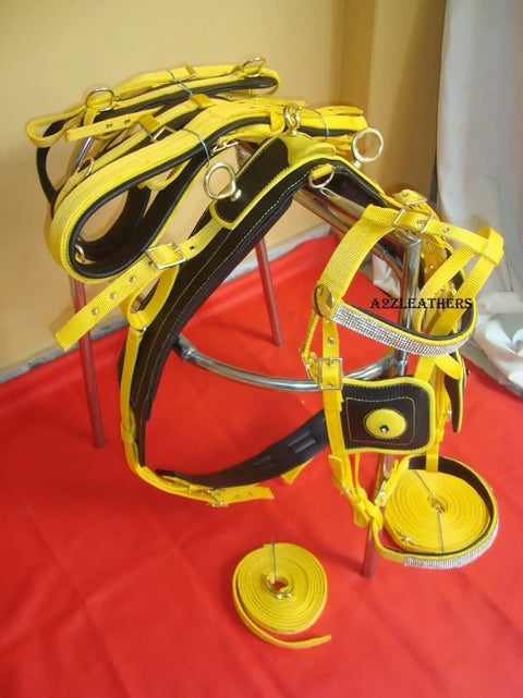 Yellow and black nylon horse driving harness full size for carriage and training durable nylon tack set lightweight yet strong cushioned comfort adjustable straps safe easy fit great for all day driving displayed on a red background