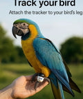 Lightweight 9g Bird Tracking Leg Ring For Parrots And Small Birds on macaw's leg