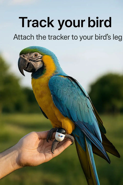 Lightweight 9g Bird Tracking Leg Ring For Parrots And Small Birds on macaw's leg