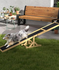 Dog on 71 Inch Dog Agility Seesaw Outdoor Training and Exercise Wooden Platform in backyard with plants and bench
