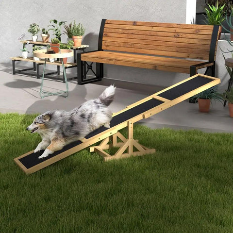 Dog on 71 Inch Dog Agility Seesaw Outdoor Training and Exercise Wooden Platform in backyard with plants and bench