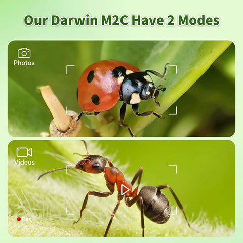 Awesome Kids Handheld Microscope For Learning And Discovery, Portable Miniscope With 4 Inch IPS Display And 1080P Imaging, 100X-1600X Magnification, Kid-Friendly Pocket Microscope For Boys And Girls, Educational Science Kit, Hands-On Exploration showing ladybug and ant images