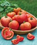 Early Girl Slicing Tomato Seeds For Home Garden Non GMO Indeterminate 50 Pack Easy Grow Seeds For A Big Summer Harvest 59 Days To Maturity 4 Oz Fruits