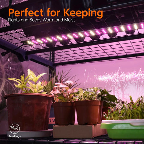 Indoor Greenhouse With Grow Lights For Seed Starting, 4 Tier Plant Growing Rack With Zippered PVC Cover, Dimmable 60W Plant Light With Timer, Fits 10x20 Seed Trays, Compact Yet Roomy Indoor Garden Station For Year Round Growth