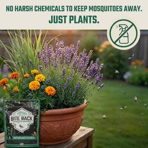 Garden Aromatic Herb Seed Kit For Mosquito Season With Six Seed Packets For Patio And Deck Includes Lavender Lemongrass Marigold Catnip Lemon Balm Basil And Six Coir Soil Discs in garden setting