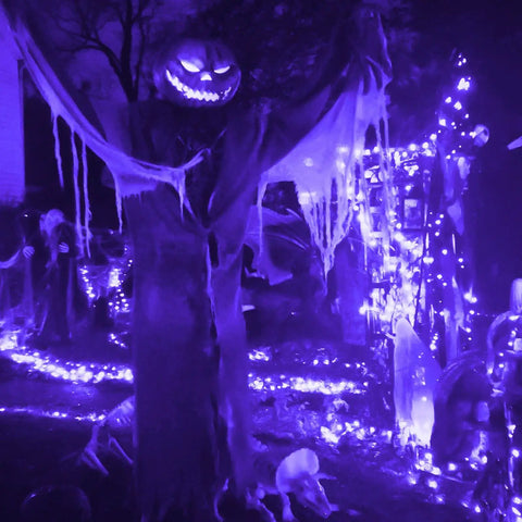 Battery Operated Copper Wire Fairy Lights 16.4Ft UV Black Light LED String With 50 LEDs illuminating Halloween decor.