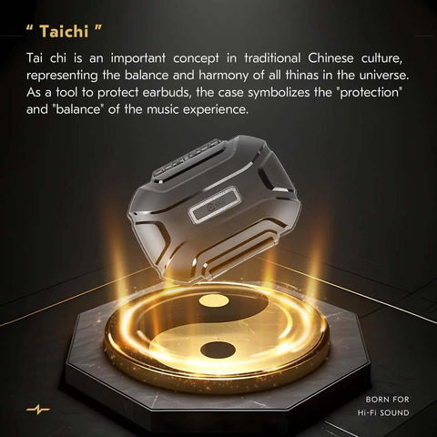 Fly InEar Monitor Case With Hella Protective Sealed Shell Portable Earbud And Iem Cable Travel Organizer waterproof case displayed above yin yang symbol.