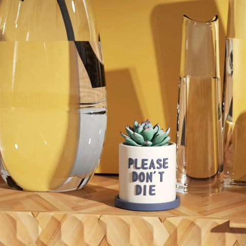 Small ceramic planter with text 'PLEASE DON'T DIE' holding a succulent, placed on a wood shelf beside glass vases.