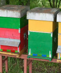 Colorful beehives with Six Pack Beehive Entrance Reducer Kit With Adjustable Sliding Gate For 10 Frame Hives in use.