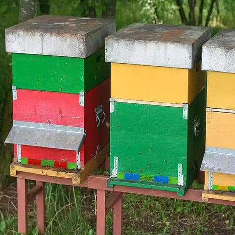 Colorful beehives with Six Pack Beehive Entrance Reducer Kit With Adjustable Sliding Gate For 10 Frame Hives in use.