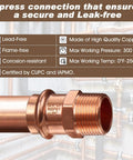 Heavy Duty Copper Press Fittings Kit Twelve Pack Three Quarter Inch Copper Press to Three Quarter Inch Male NPT Adapters