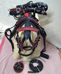 Top Notch Premium Leather Driving Harness For Gypsy Horse Black With Red Piping Full Single Horse Cart Set components displayed