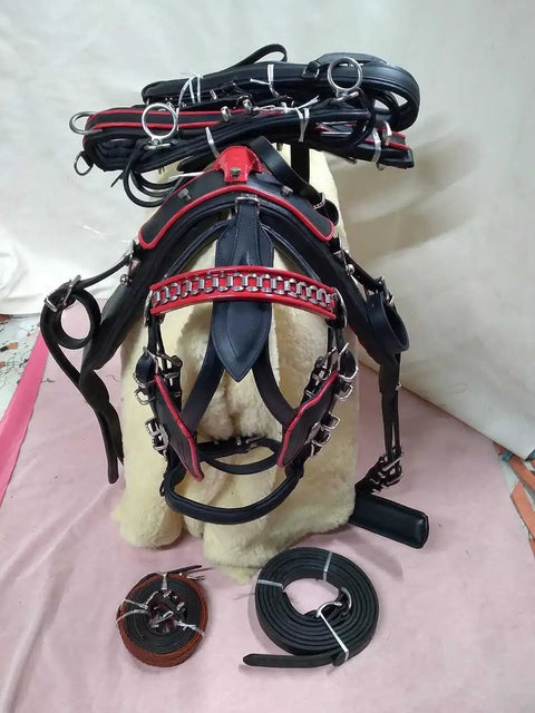 Top Notch Premium Leather Driving Harness For Gypsy Horse Black With Red Piping Full Single Horse Cart Set components displayed