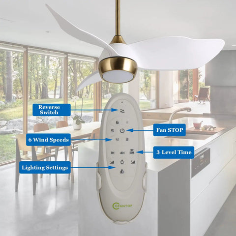36 Inch White Gold Modern Ceiling Fan With Light And Remote, Quiet DC Motor, 6 Speed, showing remote control functions in kitchen setting