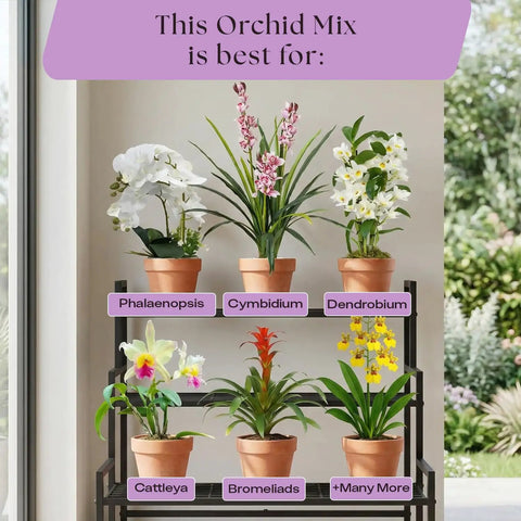Orchid Potting Mix With Superior Aeration And Drainage For Thriving Orchids Peat Free Microbially Active Biochar Powered Soil For Orchid Plants Ideal For Indoor Gardening 4 Quarts shown with various orchid types in pots.