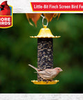 Yellow Bird Feeder Built To Last In All Weather Durable High Density Plastic with bird perched on feeder.