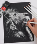 White Charcoal Pencils Set, 5 Piece For Dark Paper Sketching And Shading in use on black paper creating lion artwork