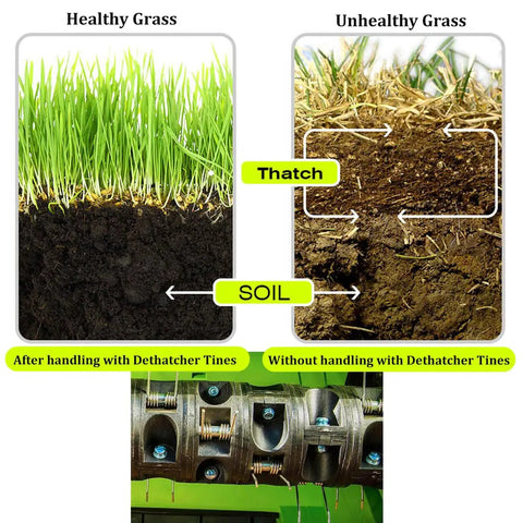 Comparison of healthy vs unhealthy grass with 36 Pack Dethatcher Tines Replacement Compatible With Greenworks 27022 And 2500600G 14 Inch Corded Dethatcher Heavy Duty Stainless Steel Rake Tines For Scarifier Lawn Dethatcher Parts shown below.