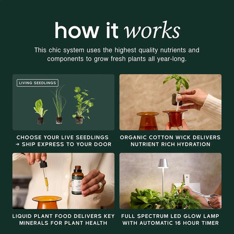 Instructions for Countertop Hydroponic Garden Kit With LED Grow Light showing seedlings, wicks, plant food, and LED lamp setup