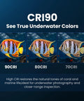 Image of 3 marine life photos showing color accuracy differences with Powerful Dive Light 5000LM Rechargeable Waterproof Flashlight.
