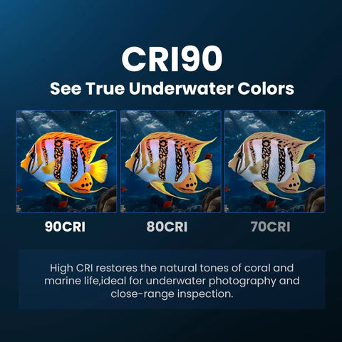 Image of 3 marine life photos showing color accuracy differences with Powerful Dive Light 5000LM Rechargeable Waterproof Flashlight.