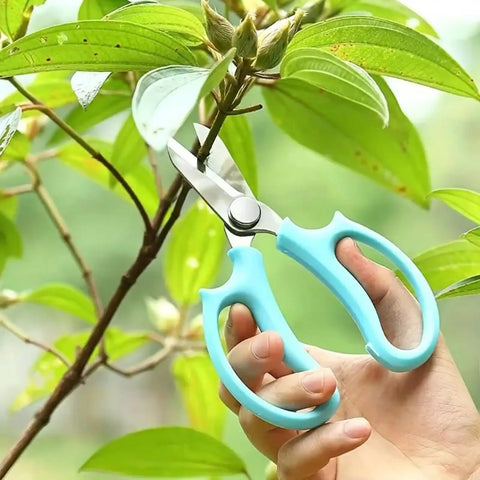 Purple Stainless Steel Pruning Shears For Garden Work Ergonomic Handles Lightweight Manual Scissors in use trimming plant