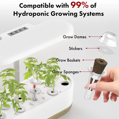 Hydroponic Seed Kit For Strawberry And Tomato Growing Systems With 350 Germinating Seeds Red Cherry Tomato Golden Cherry Tomato White Strawberry And Red Strawberry Includes Seven Pods Baskets Domes Stickers And Plant Food.