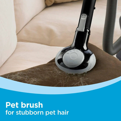 Pet brush attachment in use with Dustbuster Flex Cordless Handheld Vacuum For Home Pet And Car Cleaning, 20V Max Battery, on sofa