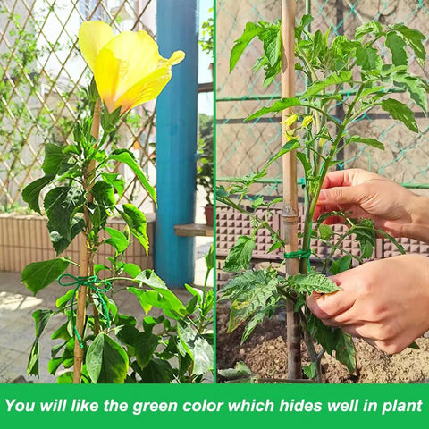 Green Jute Garden Twine 656 Feet 2mm Thick Plant Ties For Climbing Plants Tomatoes Floristry And Crafts in use