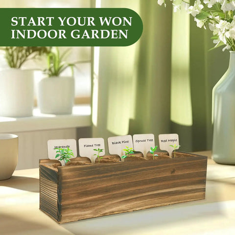 Wooden planter box with labeled bonsai sprouts, part of Five Vibrant Bonsai Kit For Beginners With Seeds Soils Pots And Tools.