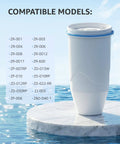 Independent Replacement Water Filter Cartridges For Pitcher And Dispenser No BS 0 TDS on marble surface, compatible models listed