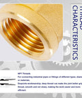 Brass Tee Pipe Fitting 1/4-Inch X 1/4-Inch X 1/4-Inch NPT Female Thread Adapter Six Pack For Water And Air DIY Plumbing, Durable, Corrosion Resistant, Easy Tight Seals. Close-up of brass NPT female threads