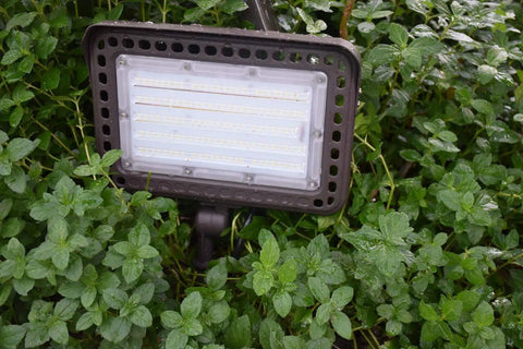 Powerful 100W LED Flood Light Outdoor 14000LM IP65 Waterproof With 180 Degree Adjustable Knuckle Mount 5000K Daylight shown in greenery.