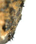 Close-up of Lodestone Specimen About 1 Inch Natural Magnetic Rock For Classroom Demos, showing natural magnetic texture.
