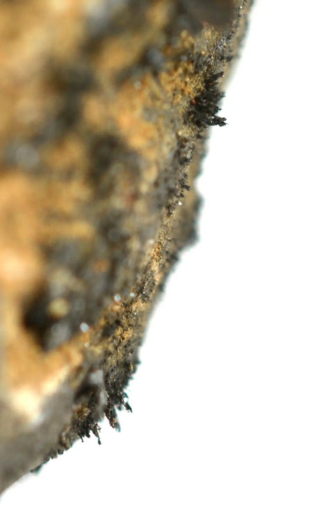 Close-up of Lodestone Specimen About 1 Inch Natural Magnetic Rock For Classroom Demos, showing natural magnetic texture.